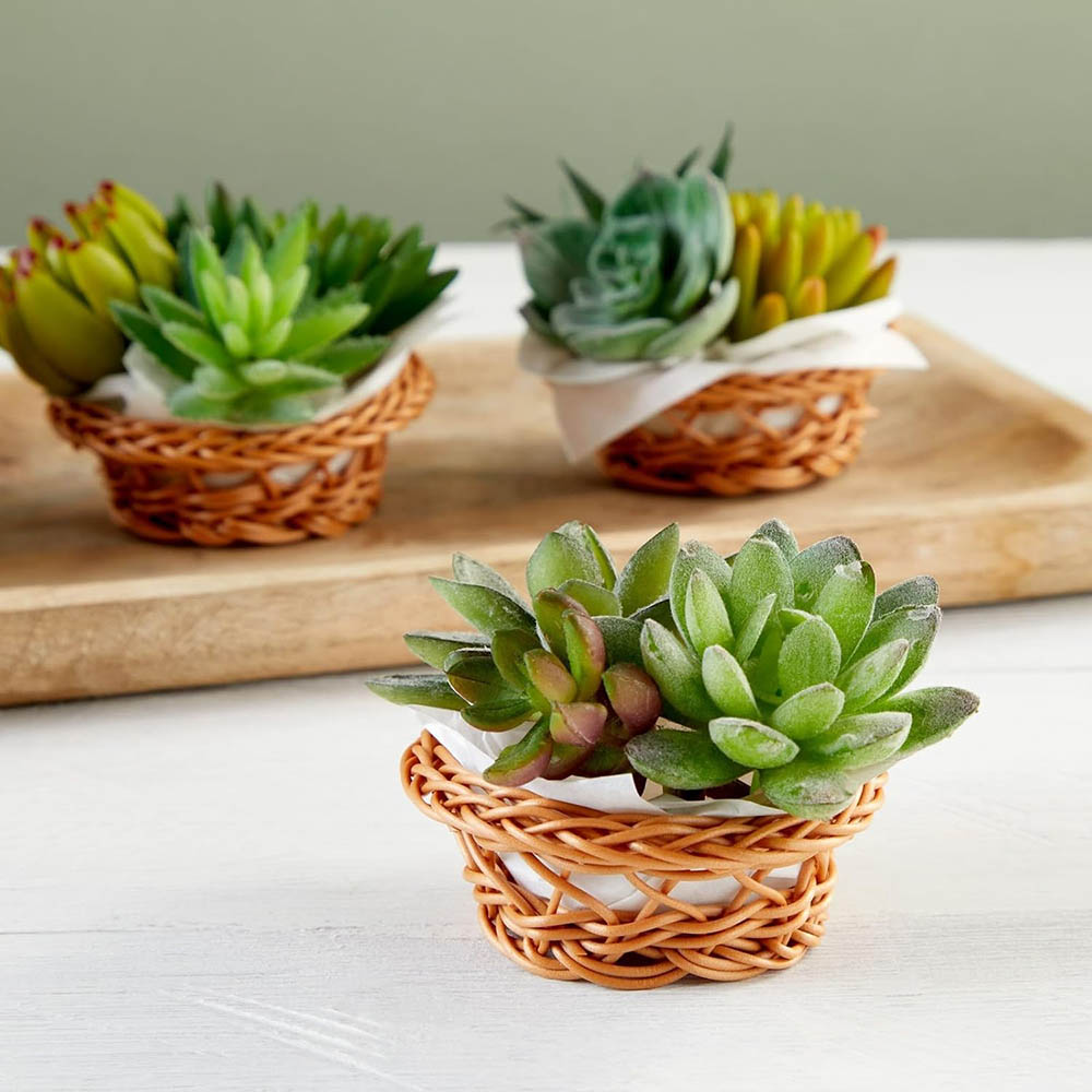 Zestaw mini koszyków z plecion – Woven Basket Set recenzja i cena